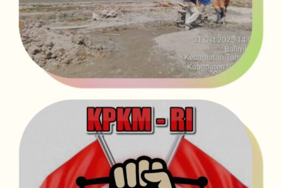 20251101_122325-COLLAGE